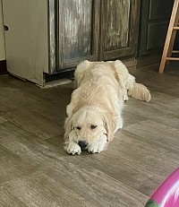 Marley