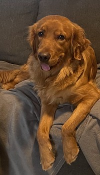 Bonnie