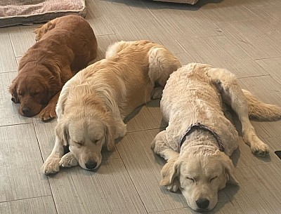 Our Family