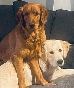 2 in a pod