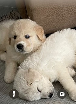 What can be more precious than this?