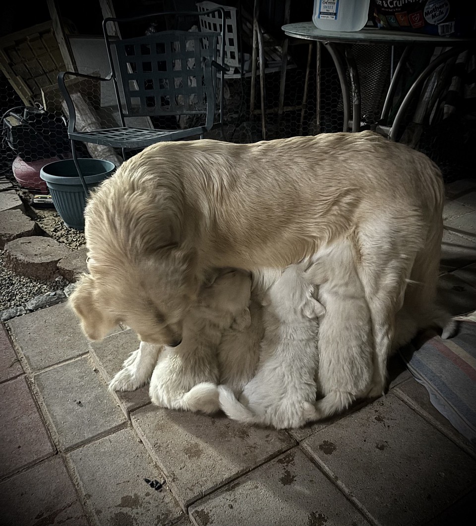 Momma is still nursing….